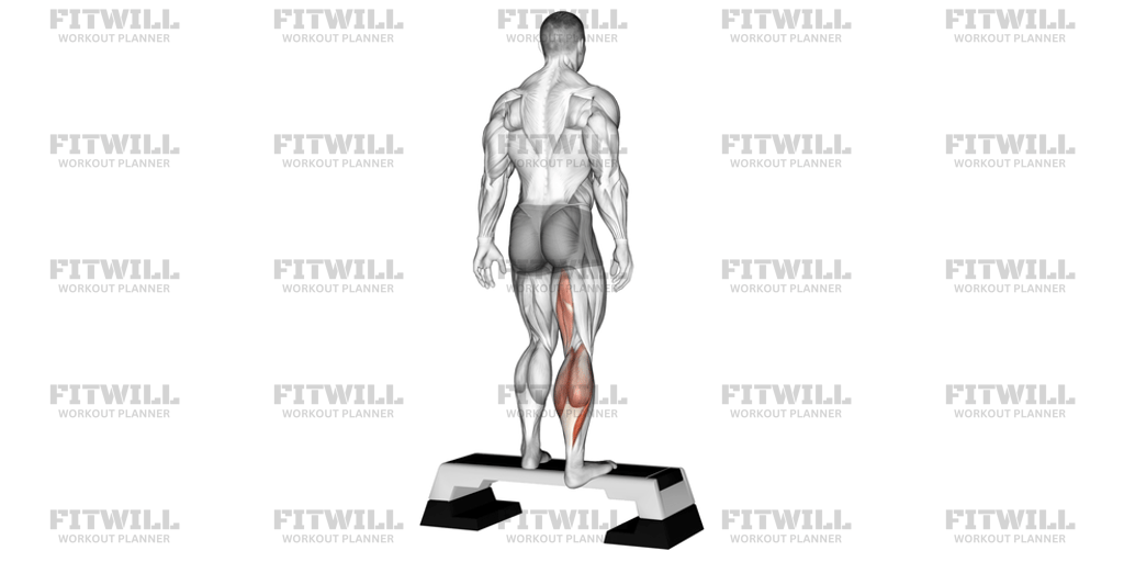 Plantar Flexor And Foot Inverter Stretch: Exercise Guide, Techniques ...