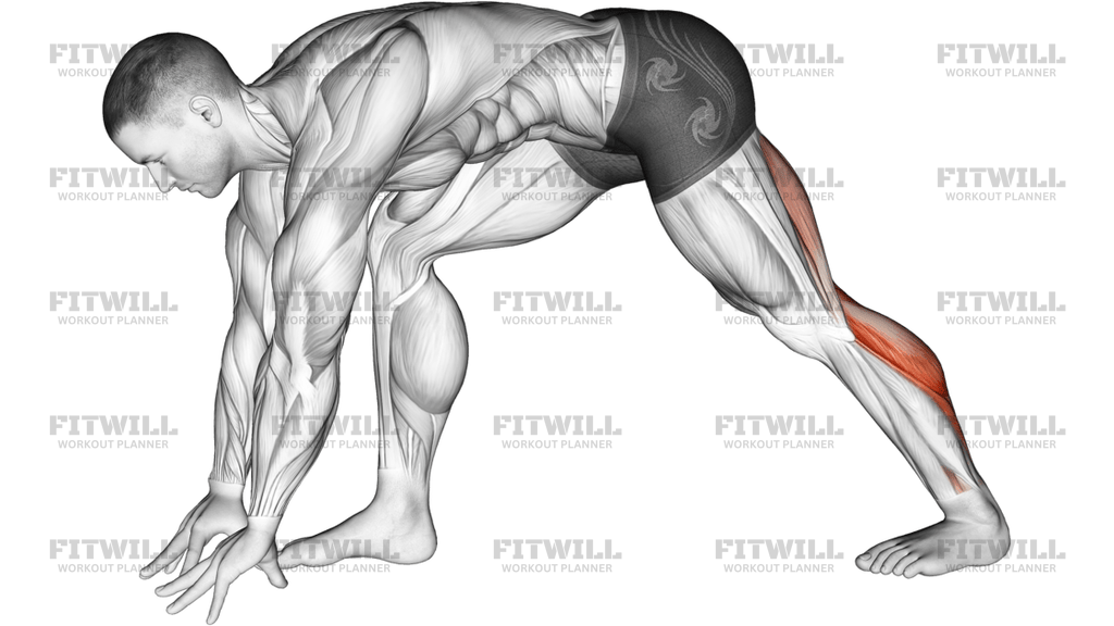 Crouching Heel Back Calf Stretch