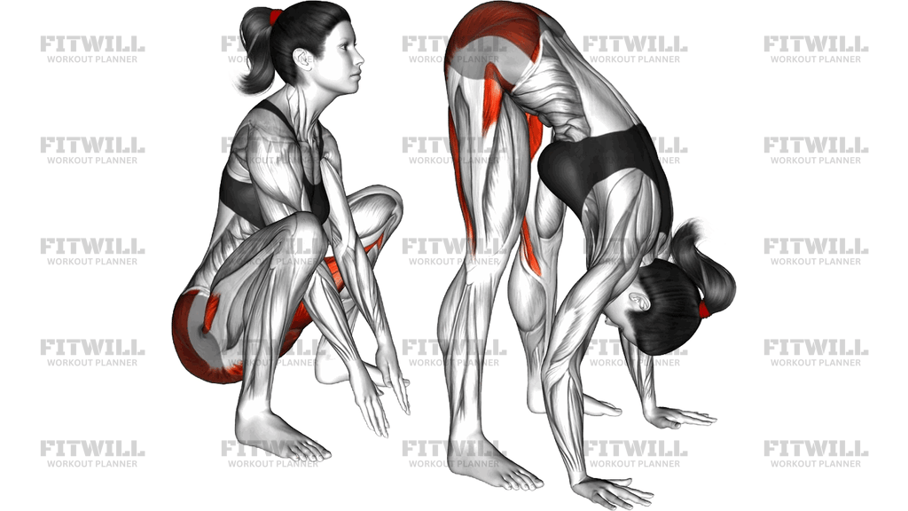Hip And Knee Flexion Squatting Stretch
