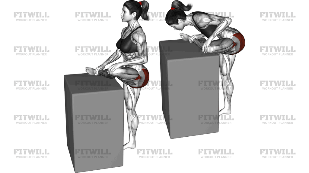 Hip External Rotator Stretch