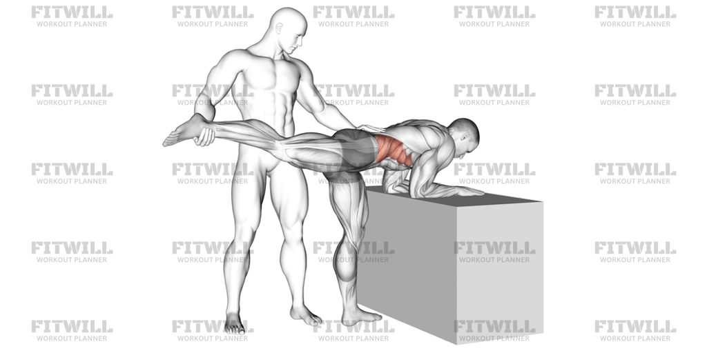 Assisted One Leg Extension: Exercise Guide, Techniques, Benefits, How ...