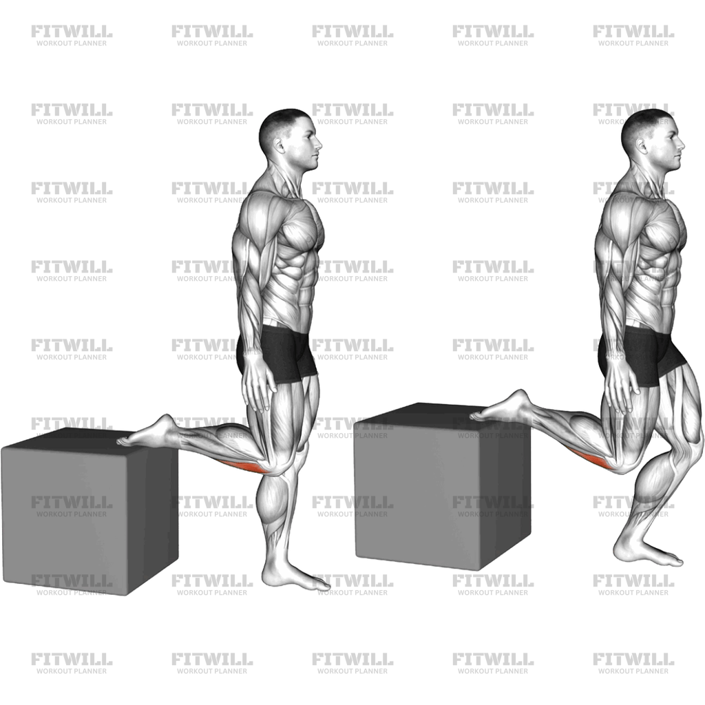 Raised Foot Shin Stretch: Exercise Guide, Techniques, Benefits, How to ...