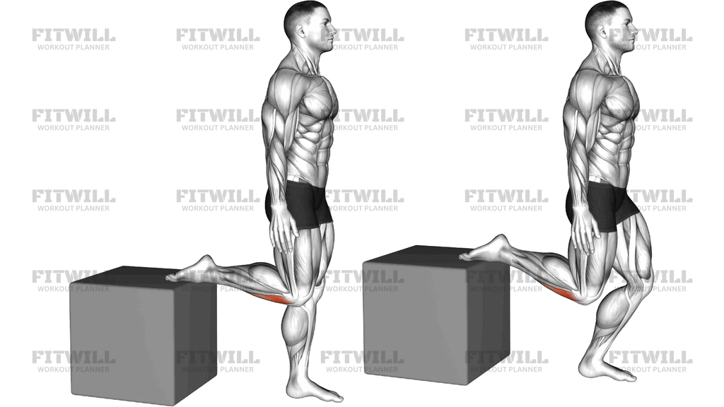 Raised Foot Shin Stretch