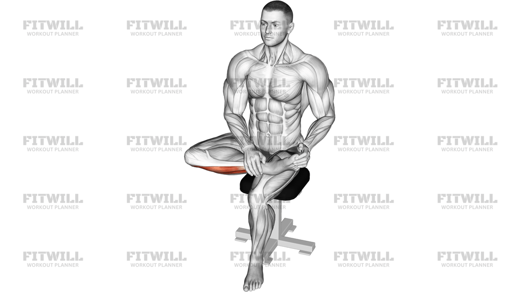 Seated Toe Extensor Stretch