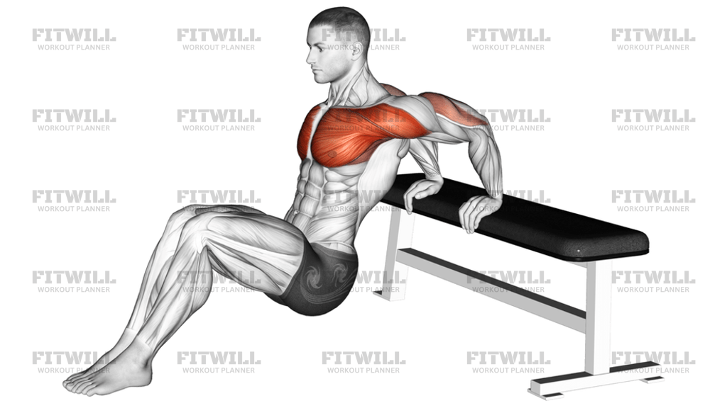 Sitting Shoulders Stretch On Bench: Exercise Guide, Techniques ...