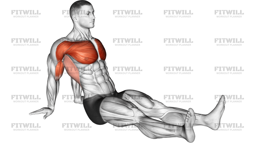 Seated Shoulder Flexor Depressor Retractor Stretch