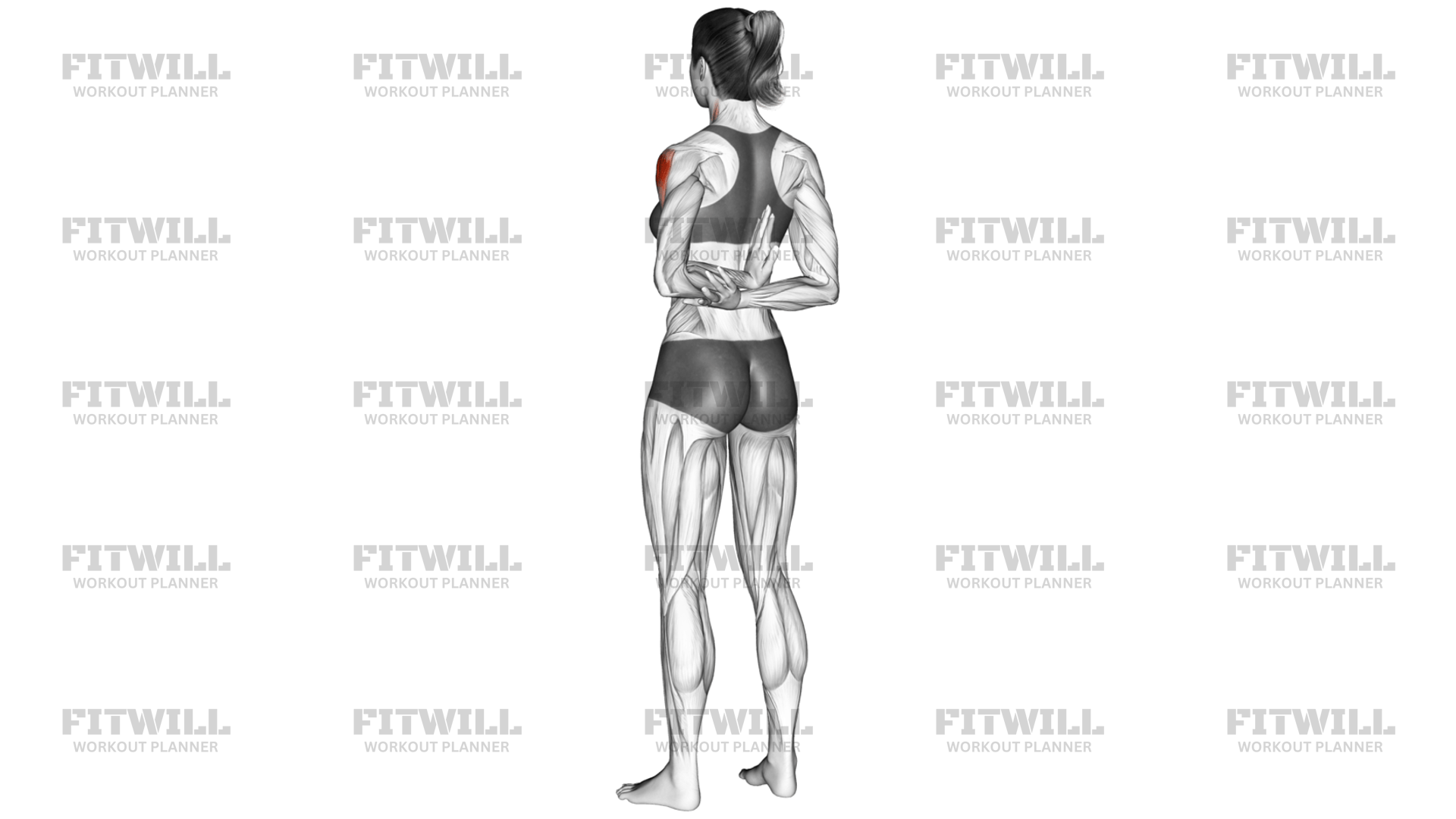One-Arm Shoulder Flexor Stretch: Exercise Guide, Techniques, Benefits ...
