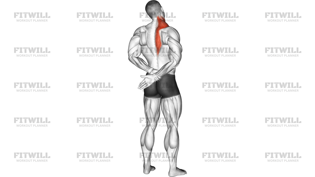 Adduction Of Arm In Back Stretch