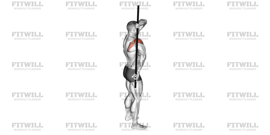 Arm Down Rotator Stretch: Exercise Guide, Techniques, Benefits, How to ...