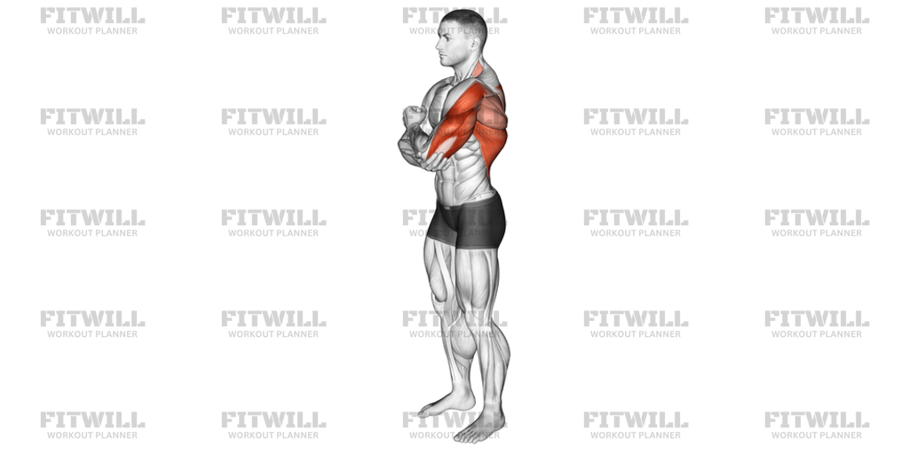 Shoulder Adductor Protractor And Elevator Stretch: Exercise Guide ...