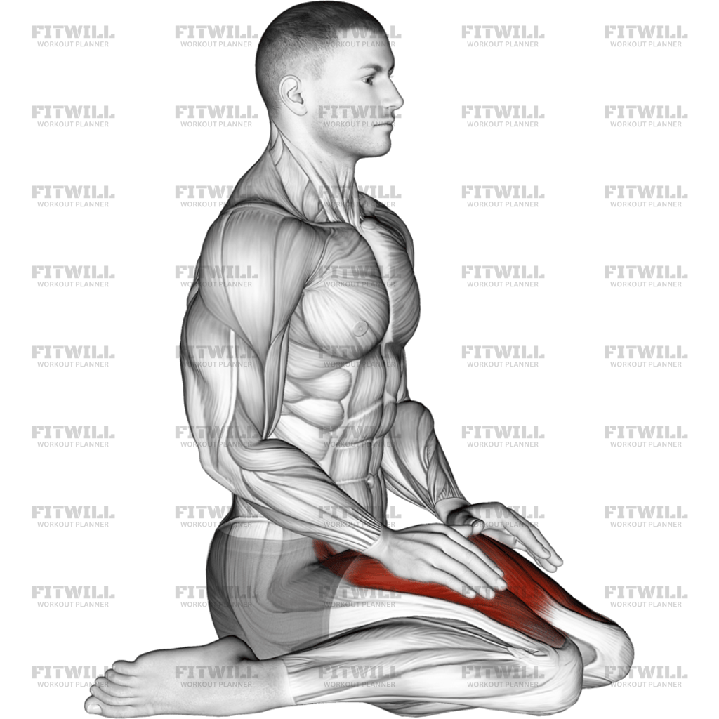 Seated Quadriceps Stretch: Exercise Guide, Techniques, Benefits, How to ...