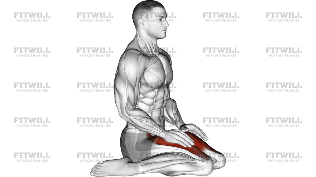 Seated Quadriceps Stretch