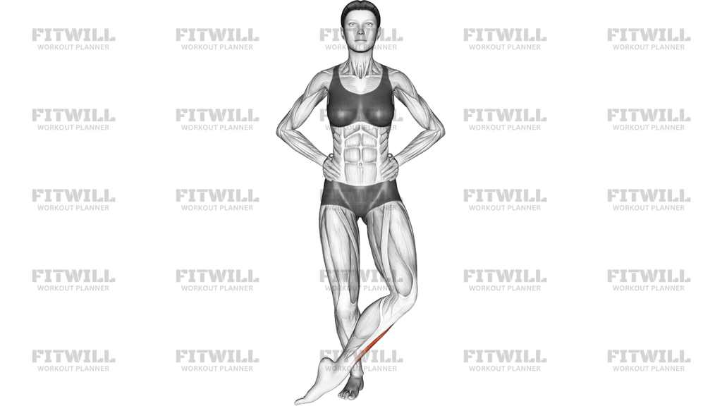 Front Cross Over Shin Stretch