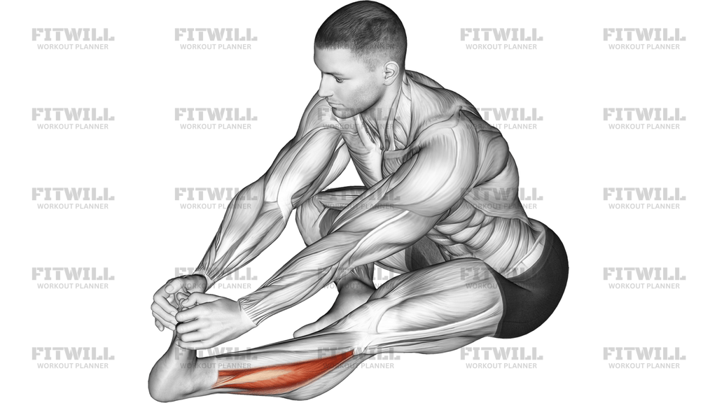 Sitting Toe Pull Calf Stretch