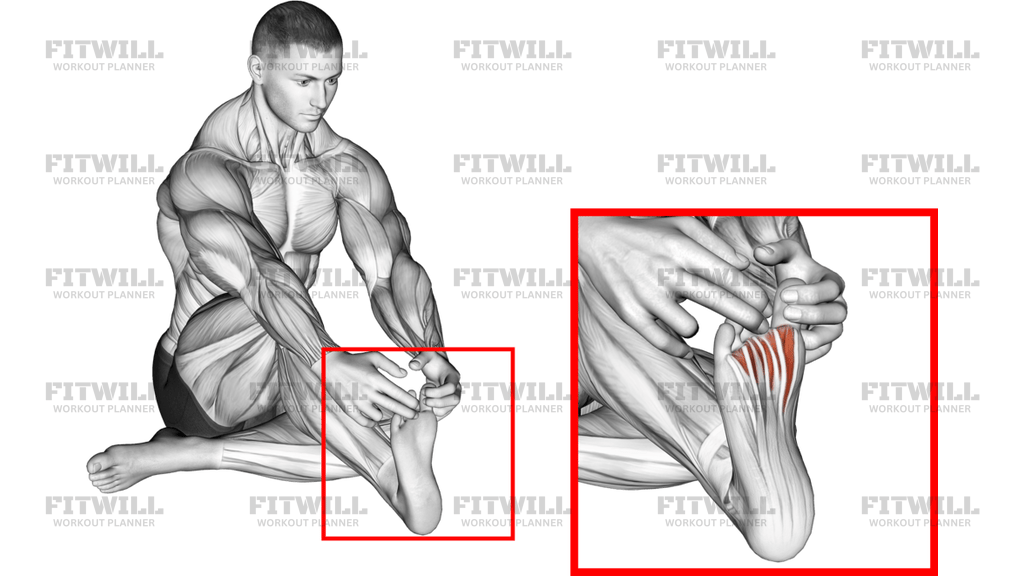 उंगलियों के बीच खिंचाव (Separation Between Fingers Stretch)