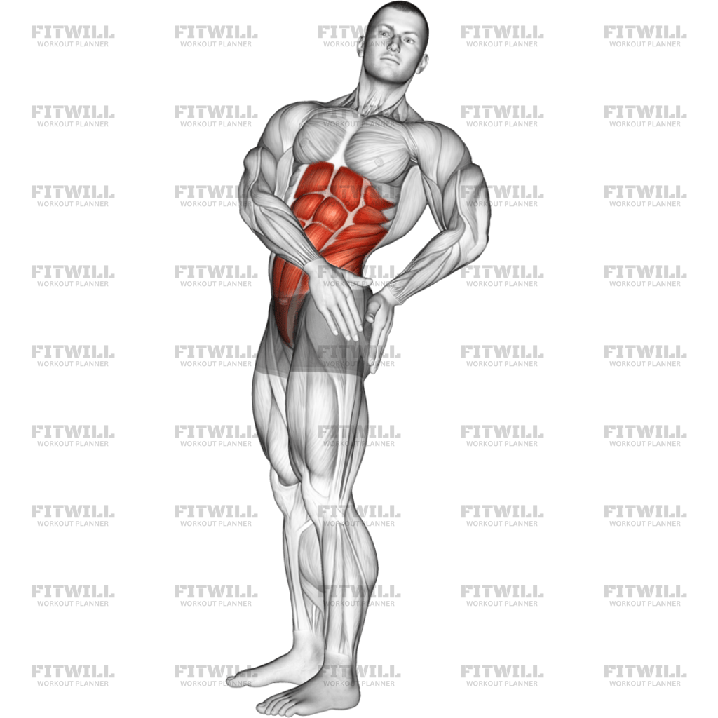 Standing Abs Rotation Stretch: Exercise Guide, Video, Techniques ...