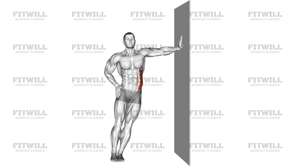 Standing Lower Trunk Lateral Flexor Stretch