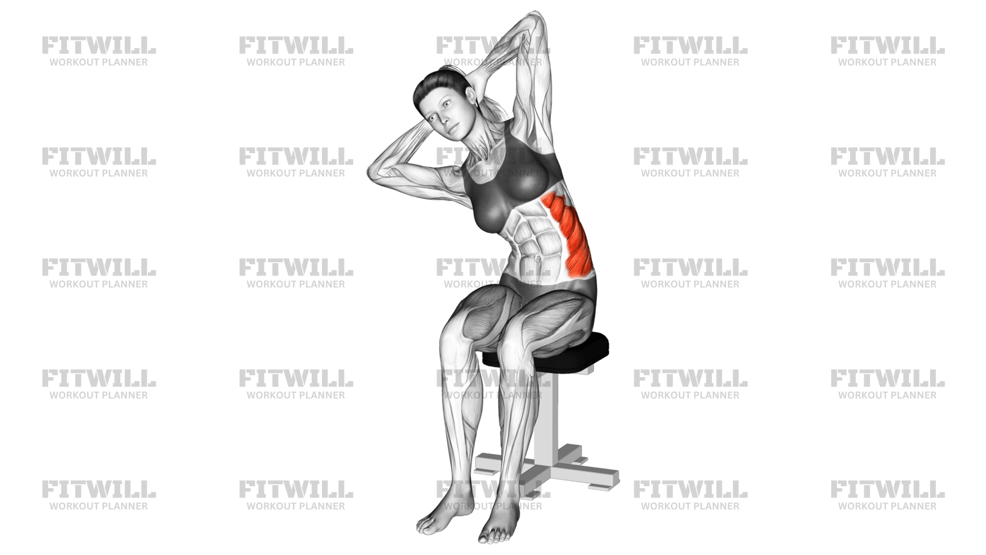 Seated Lower Trunk Lateral Flexor Stretch: Exercise Guide, Techniques ...