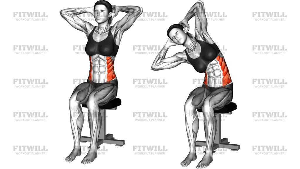 Seated Lower Trunk Lateral Flexor Stretch