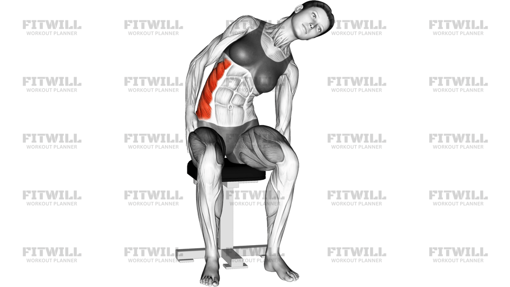 Sitting Lateral Side Stretch