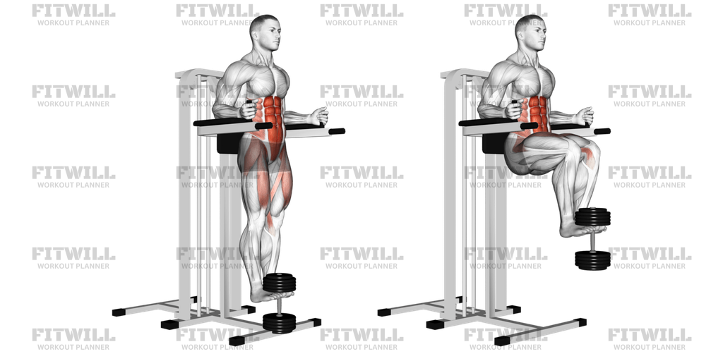Weighted Captains Chair Leg Raise Exercise Guide Video Techniques Benefits How to Muscles Worked Tips Tricks Fitwill