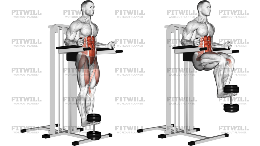 Weighted Captains Chair Leg Raise