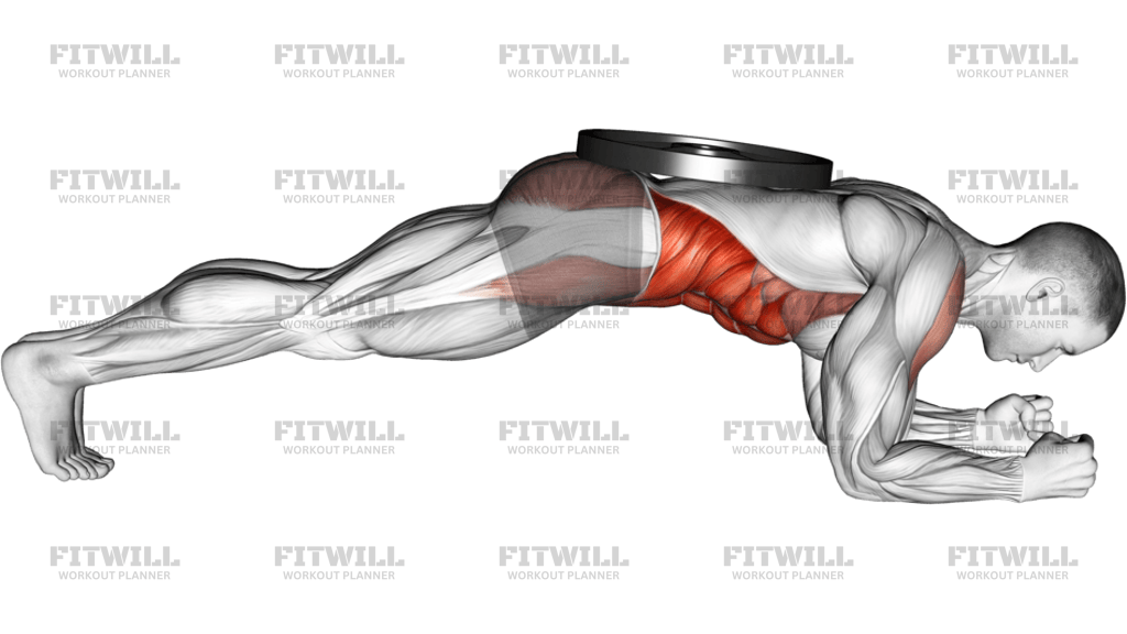 Weighted Front Plank