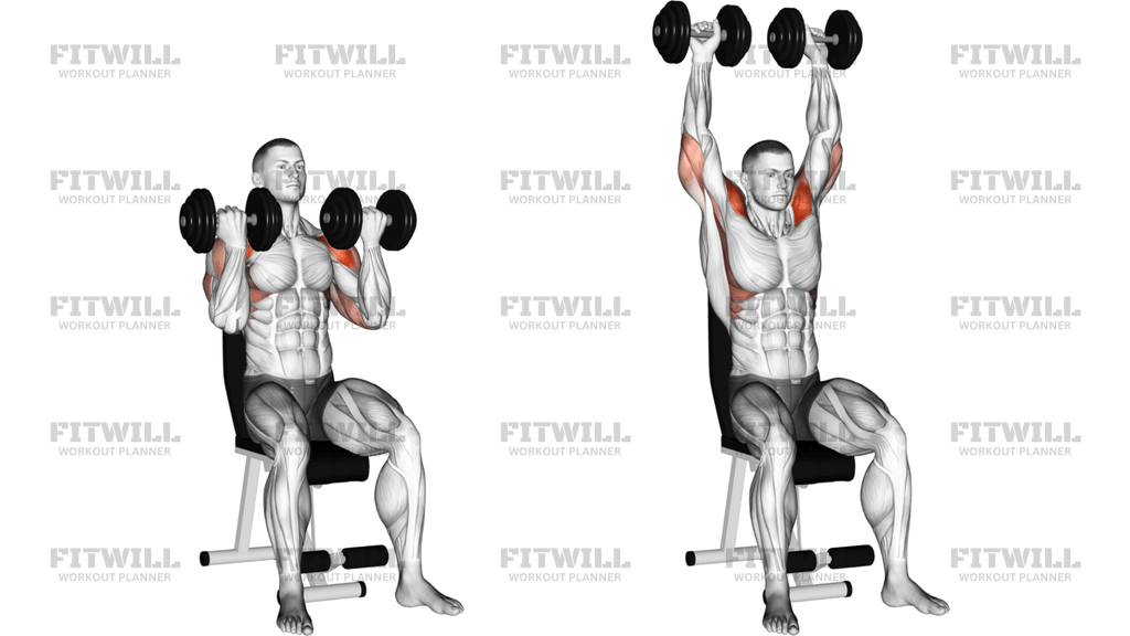 Dumbbell Arnold Press