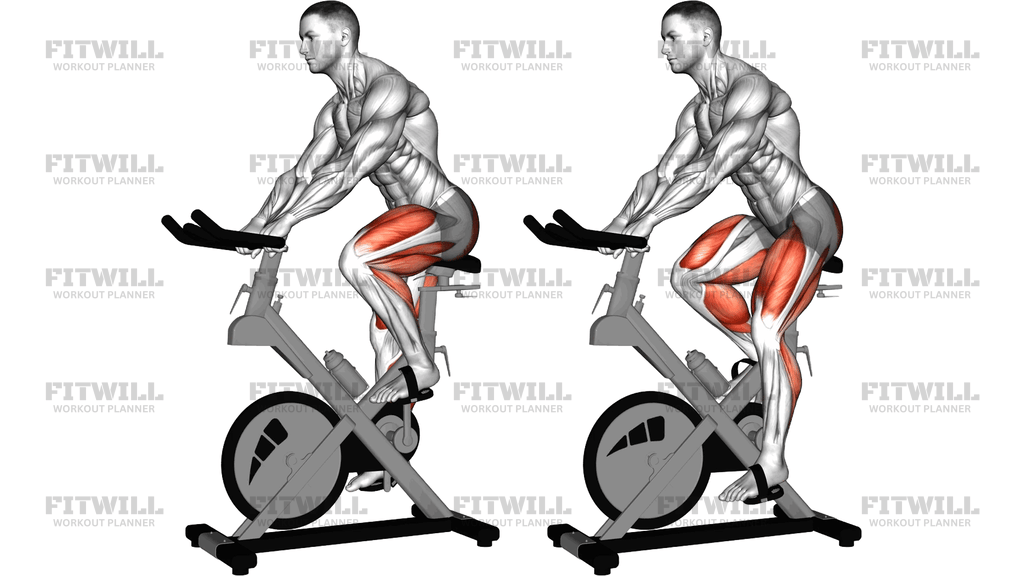 Stationary Bike Run Version 3