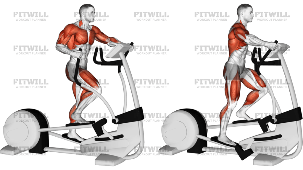 Walk Elliptical Cross Trainer