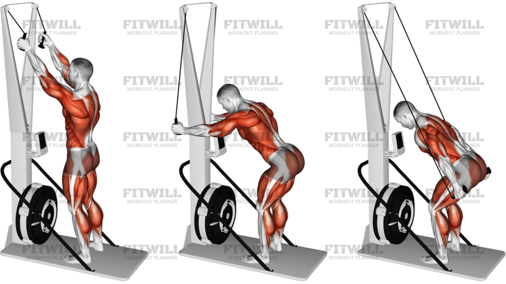 Ski Ergometer