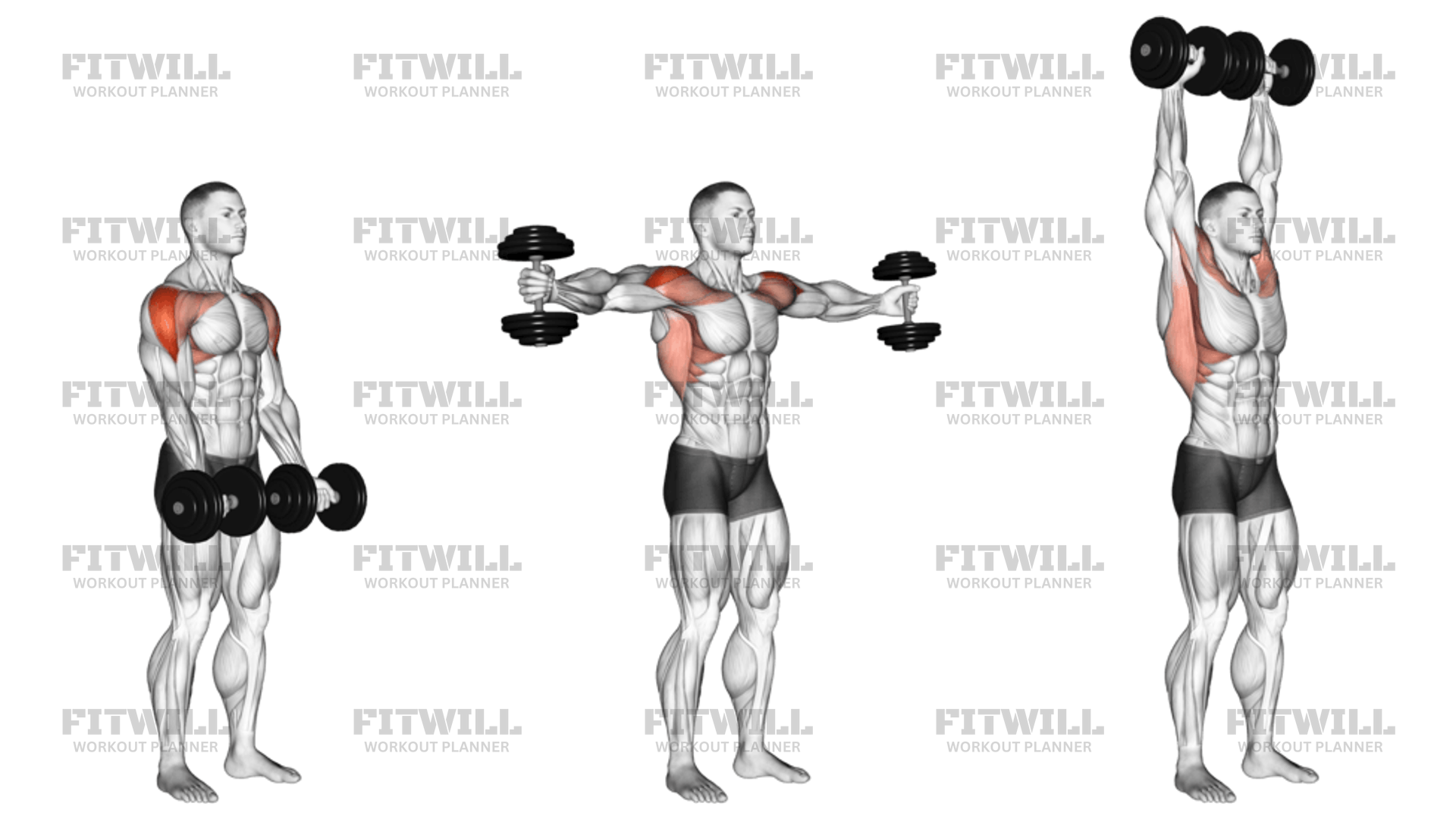 Dumbbell Standing Around World Exercise Guide Video Techniques Benefits How to Muscles Worked Tips Tricks Fitwill