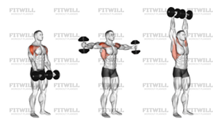 Dumbbell Standing Around World
