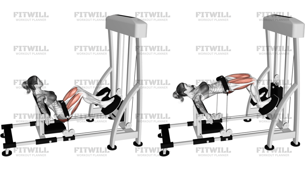 Lever Hip Thrust