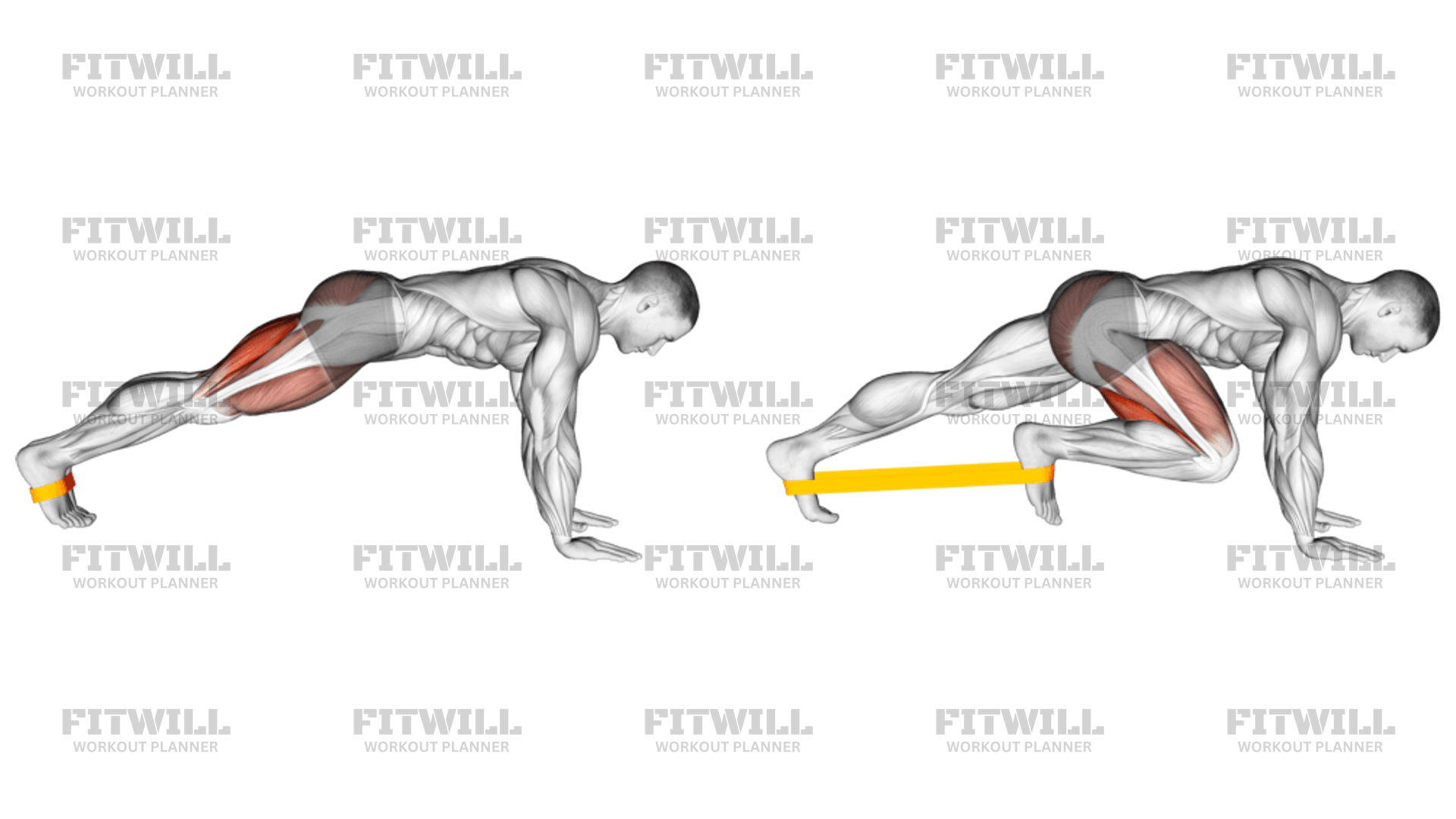 Resistance Band Plank March Exercise Guide Techniques Benefits How to Muscles Worked Tips Tricks Fitwill