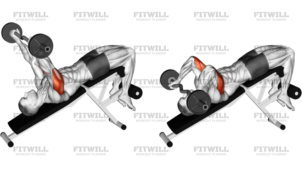 EZ Barbell Decline Triceps Extension