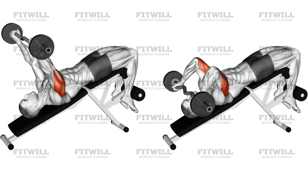 EZ Barbell Decline Triceps Extension