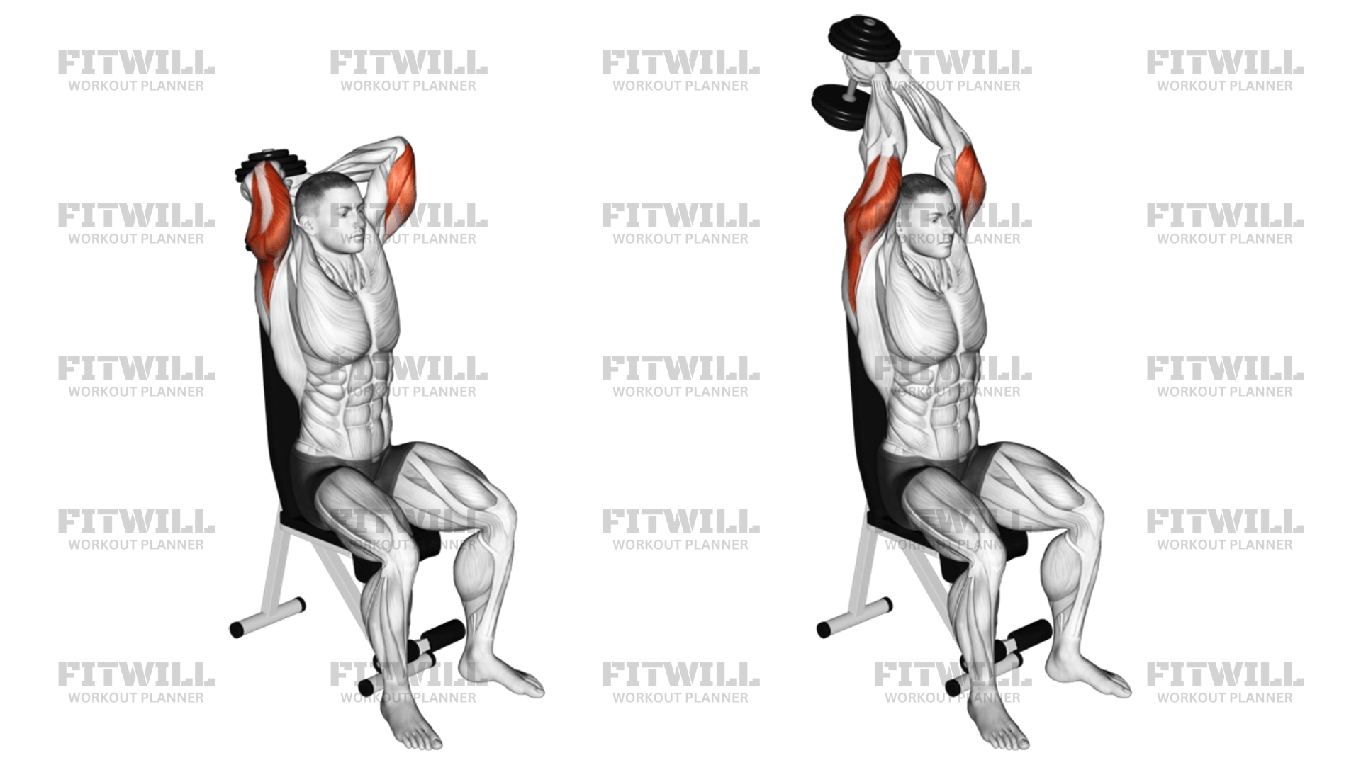 Dumbbell Seated Triceps Extension Exercise Guide Video Techniques Benefits How to Muscles Worked Tips Tricks Fitwill