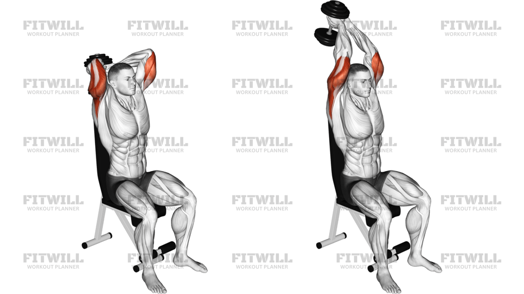 Dumbbell Seated Triceps Extension