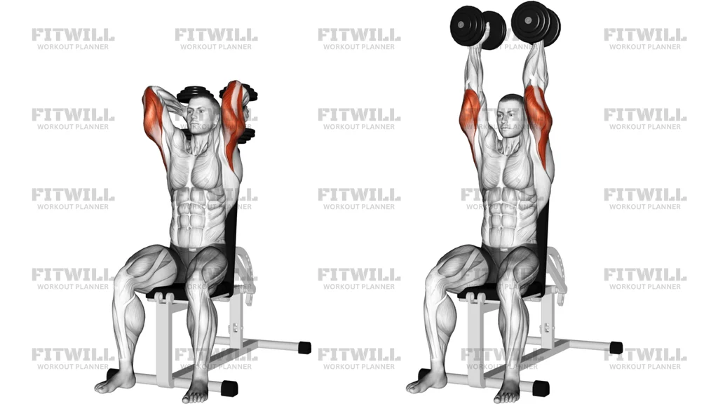 Dumbbells Seated Triceps Extension