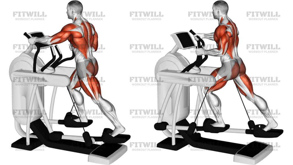 Elliptical Machine Walk