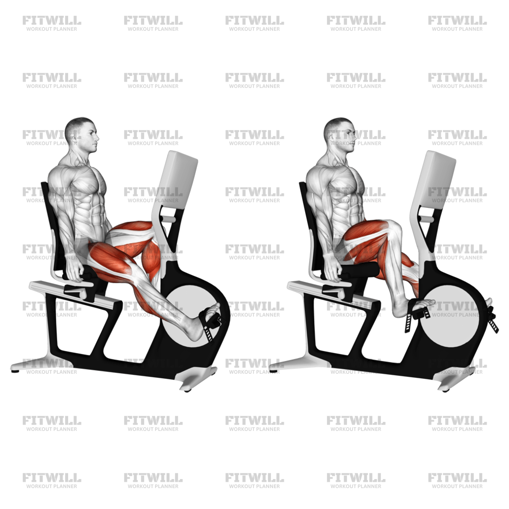 Bicycle Recline Walk Exercise Guide Video Techniques Benefits How to Muscles Worked Tips Tricks Fitwill