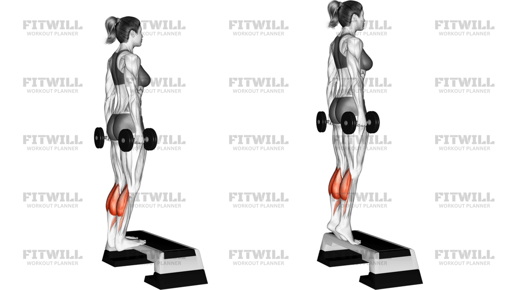 Dumbbell Standing Calf Raise