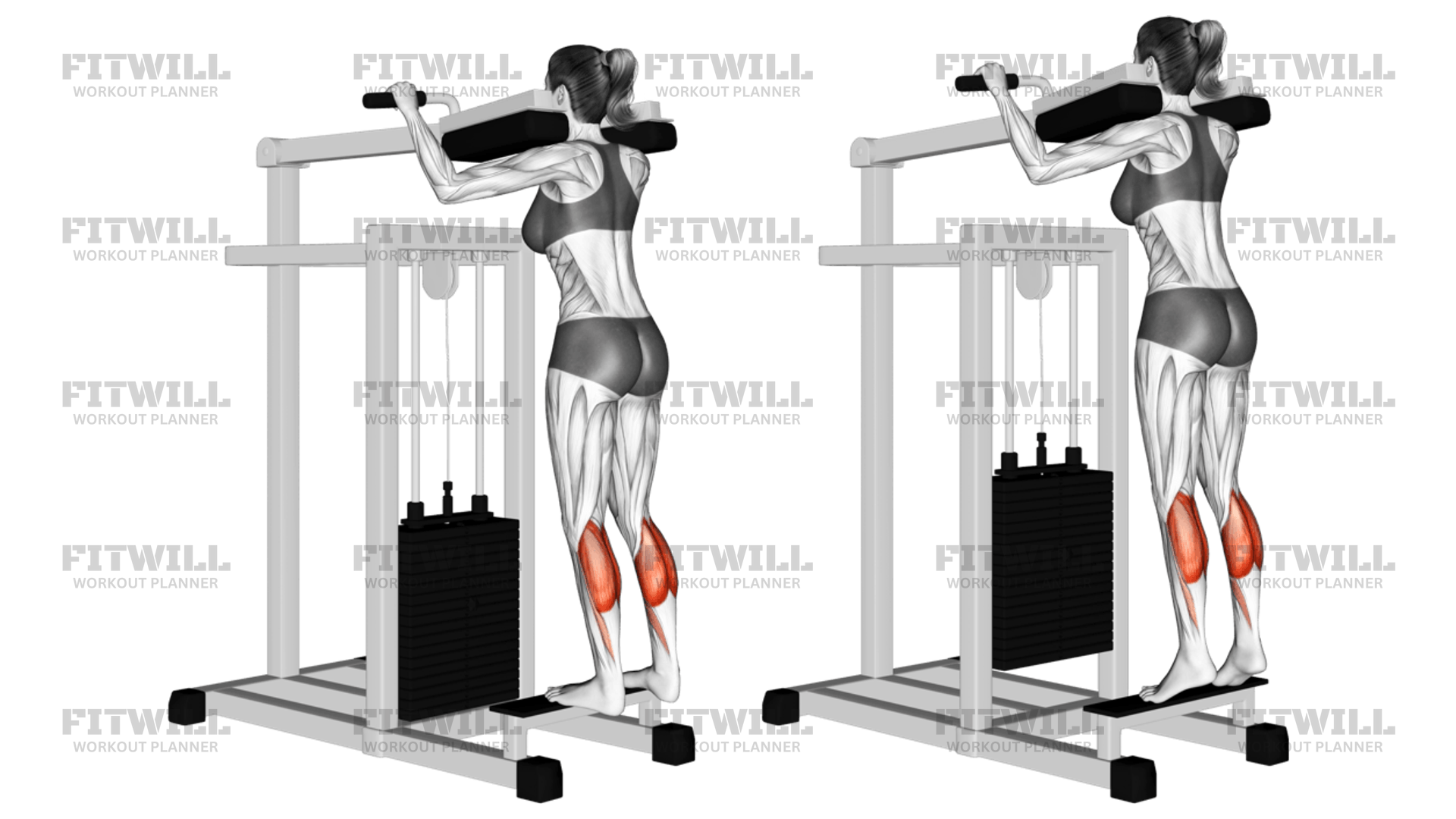 Lever Standing Calf Raise Exercise Video Fitwill