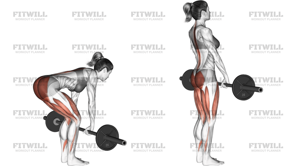 Barbell Romanian Deadlift