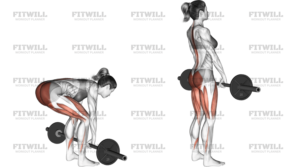 Barbell Deadlift