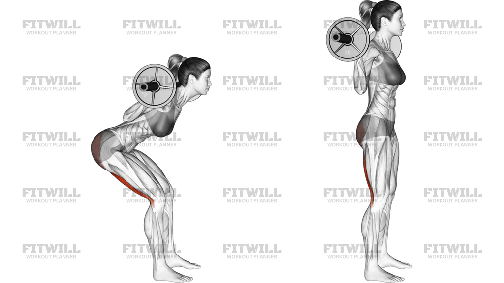 Barbell Good Morning