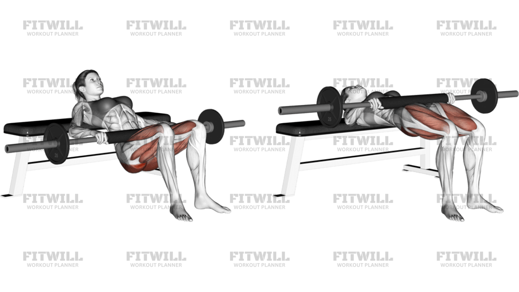Barbell Hip Thrust