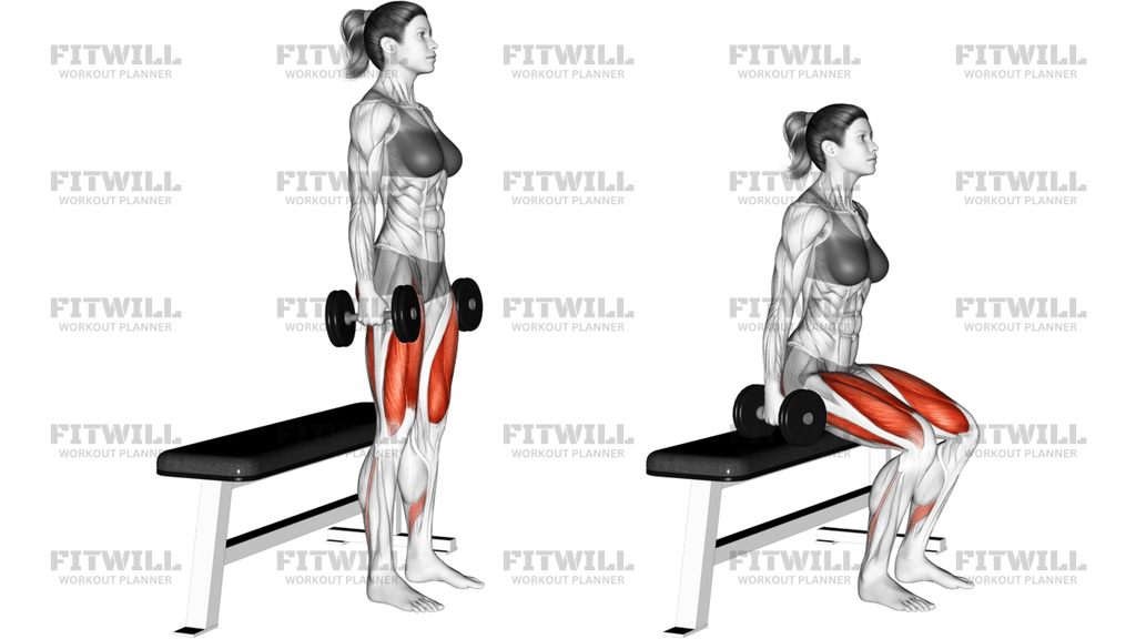 Dumbbell Bench Squat