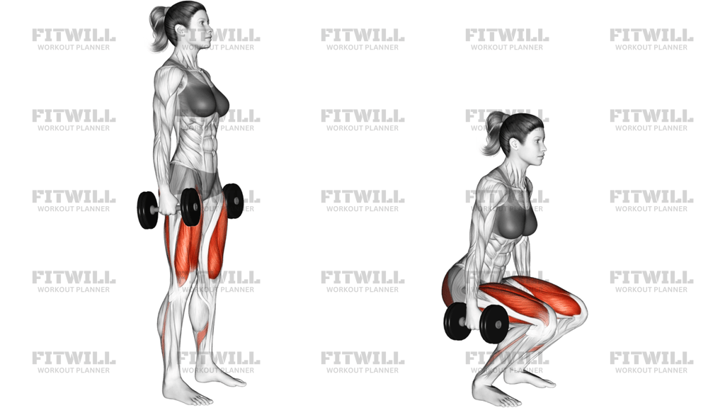 Dumbbell Squat